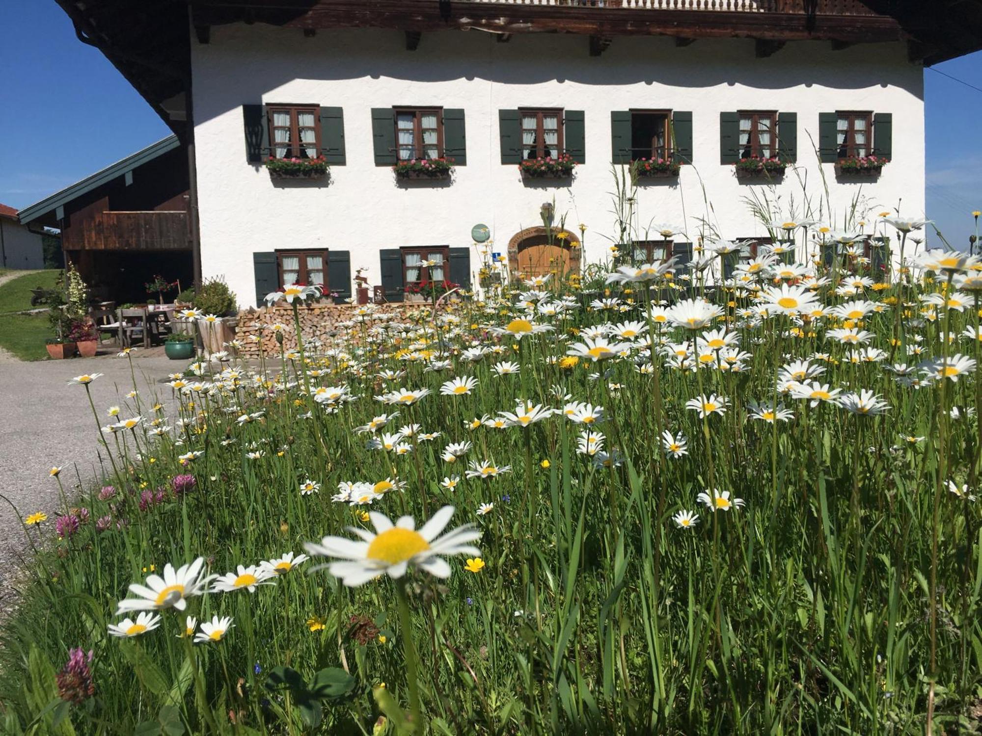 Stadlerhof Frasdorf Εξωτερικό φωτογραφία
